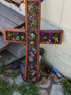 Hand made succulent wall art. Just need to spritz. Approx 2' x 1-1/2'