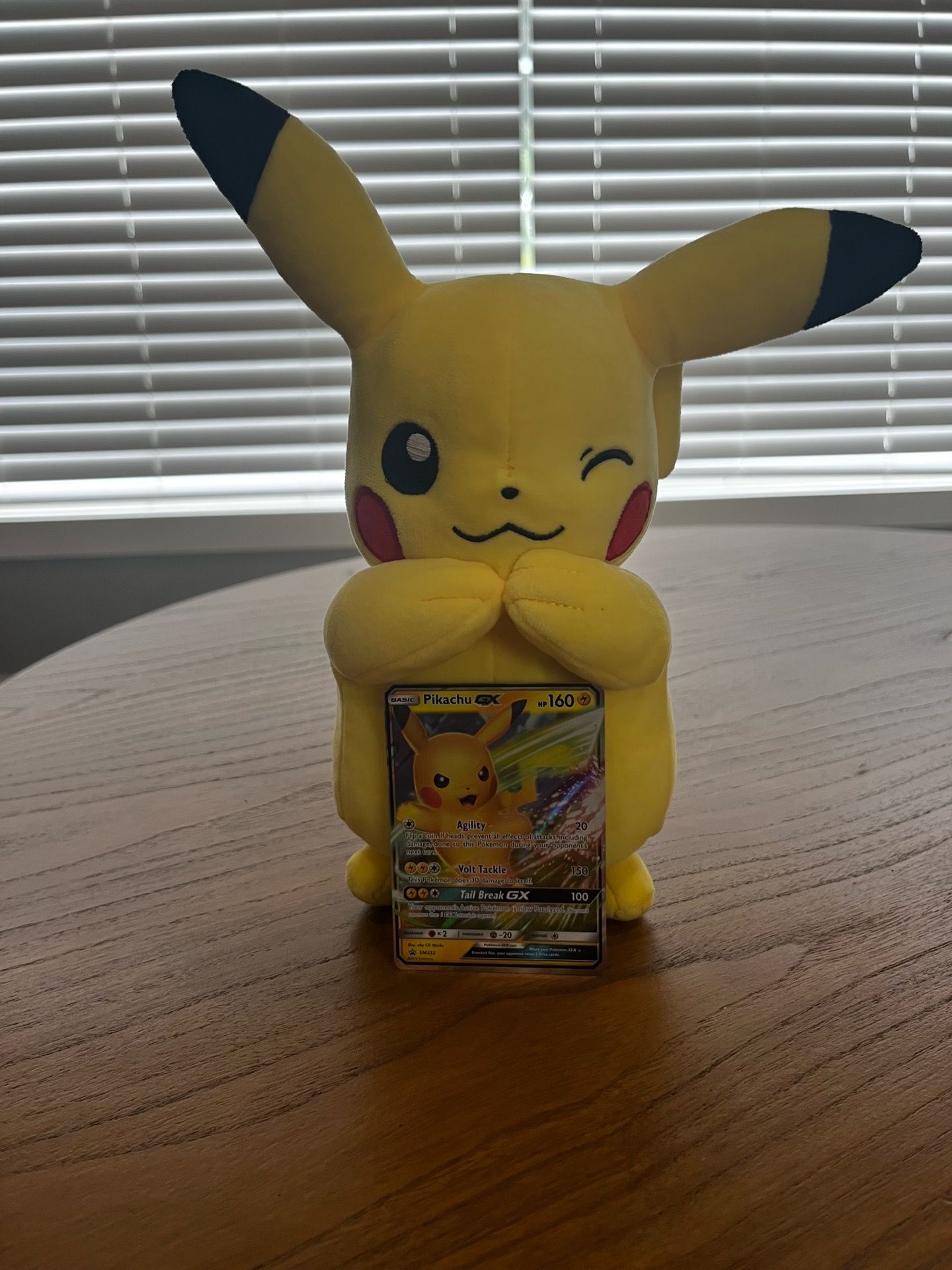Pikachu GX plush boy included