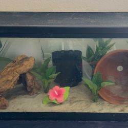 20 Gallon Long Tank With Filter And Lid