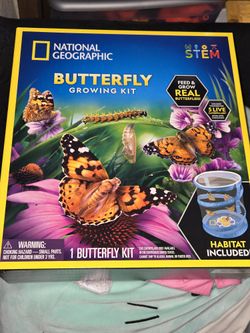 Butterfly Growing Kit