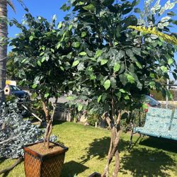 2 Artificial Trees 