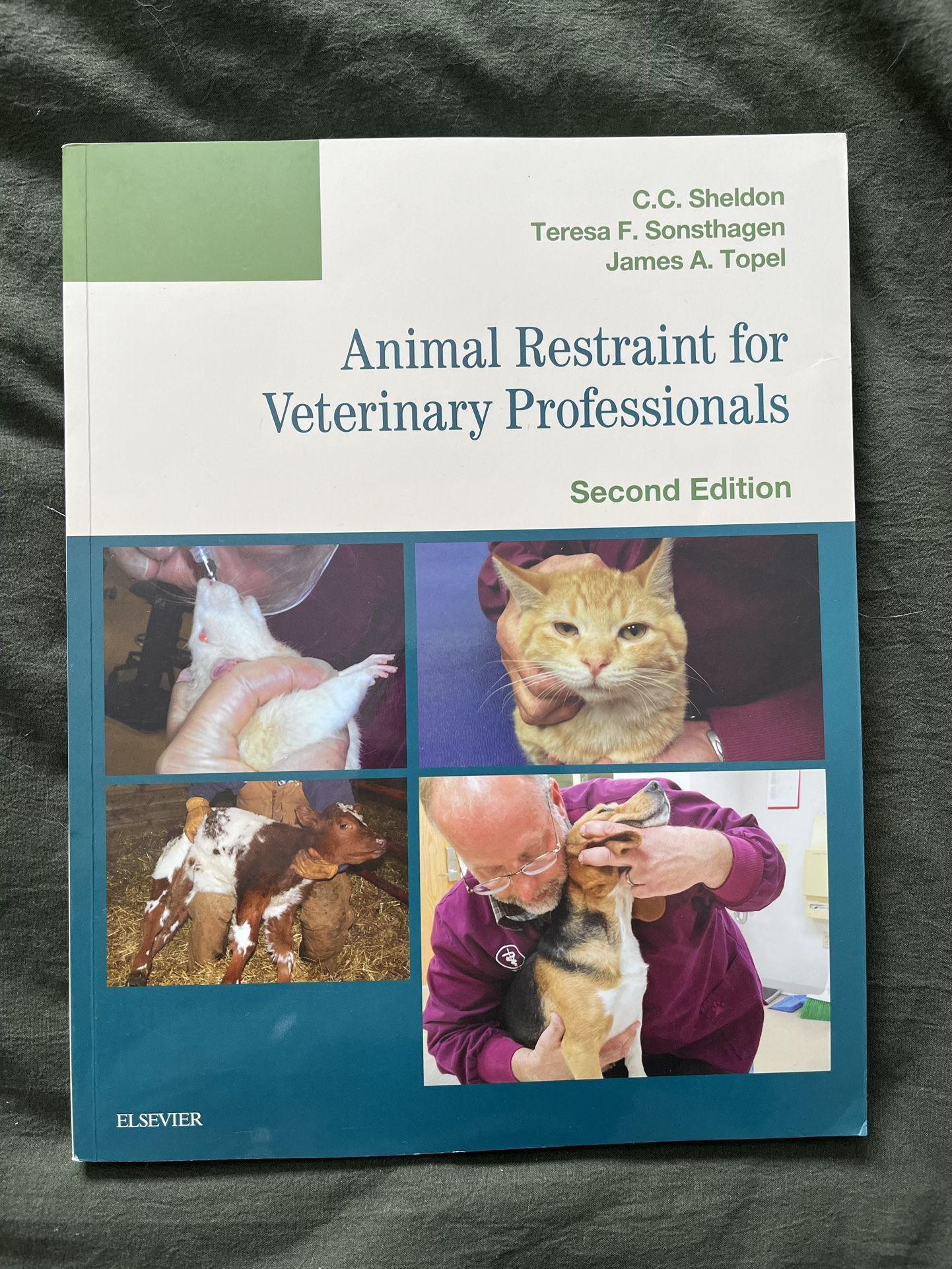 Animal Restraint For Veterinary Professionals