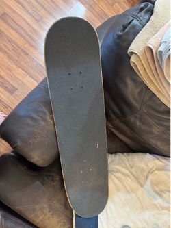 Santa Cruz Skateboard