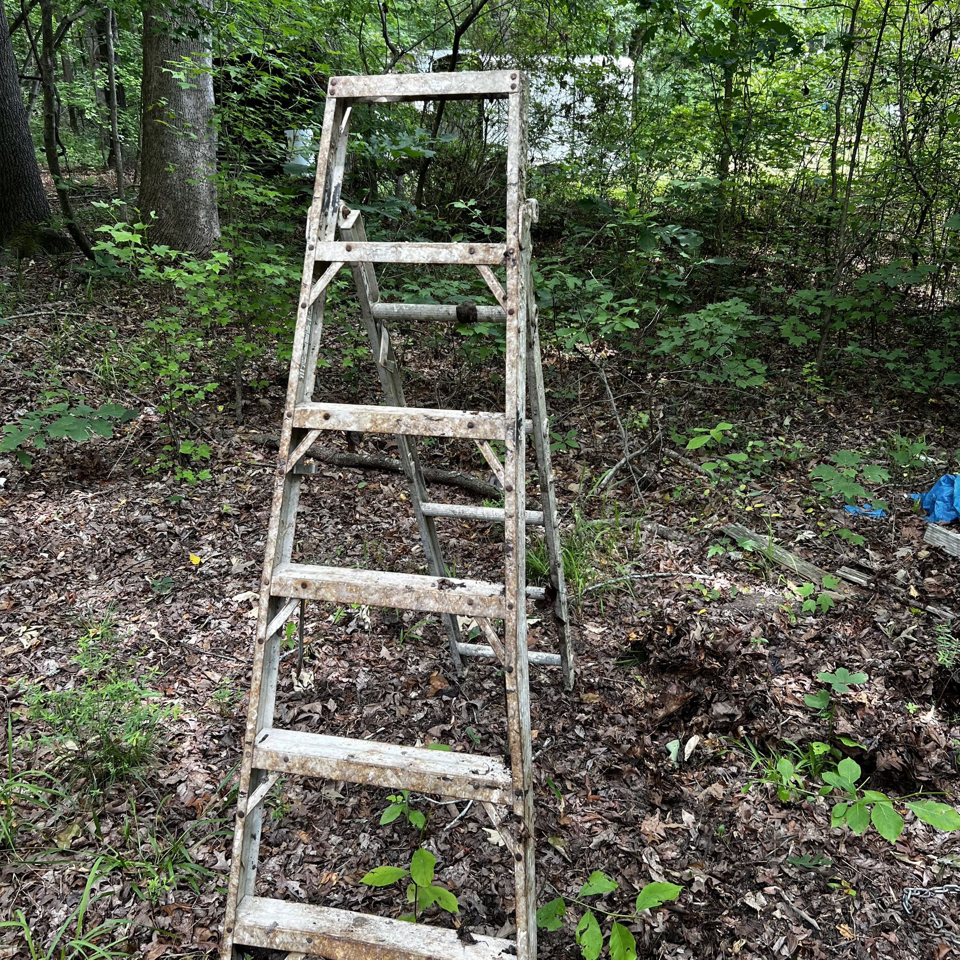 6’ Aluminum Ladder 