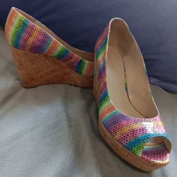 Colorful Wedges