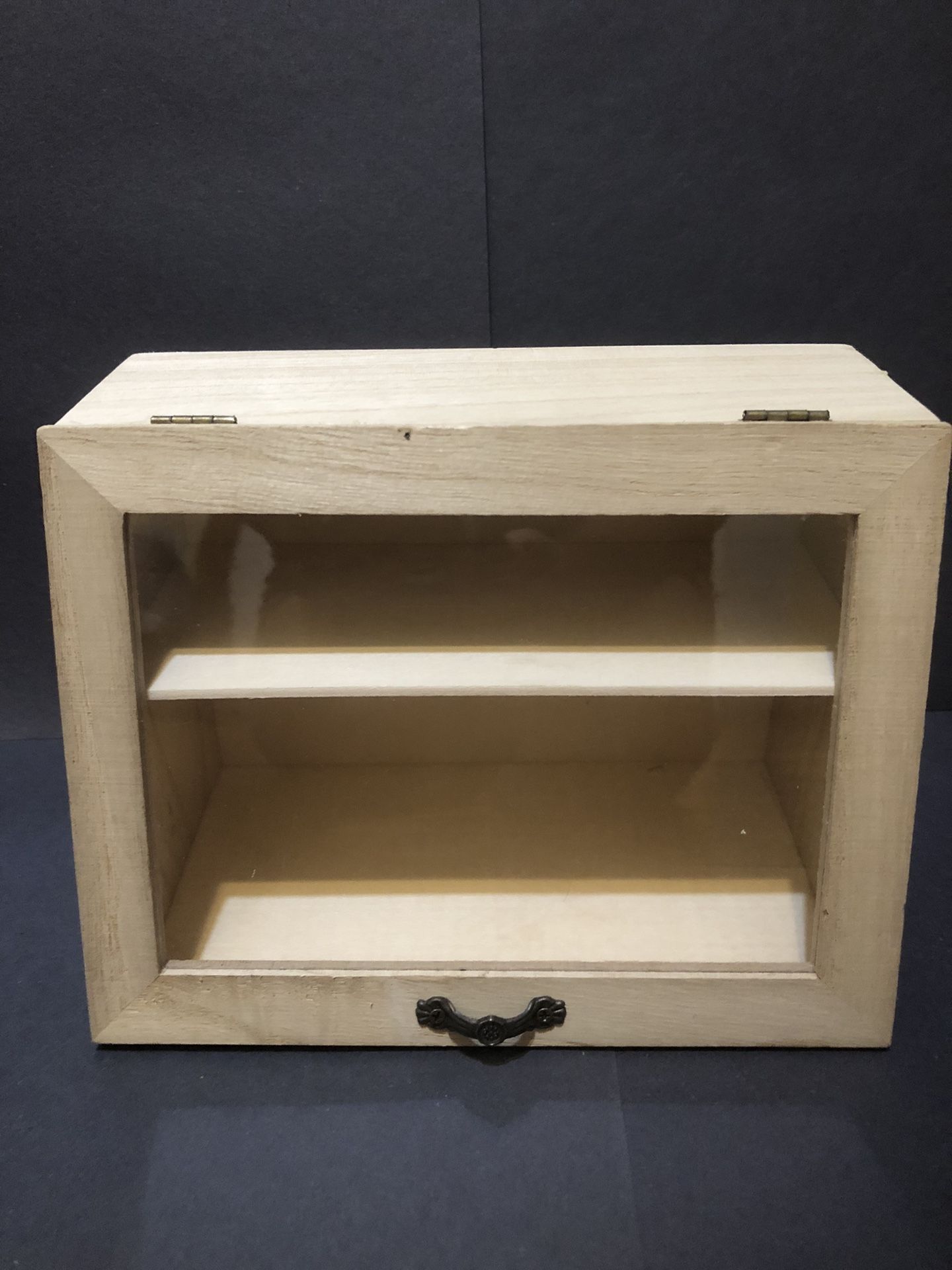 Action Figure Display Cabinet 