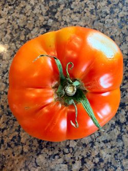 BeefstakeTomatoes