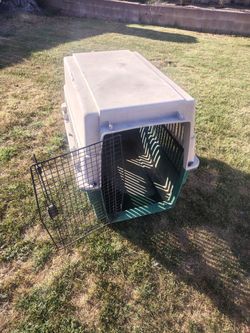 Big dog kennel