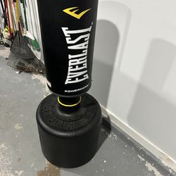 Punching Bag For Sale 125OBO
