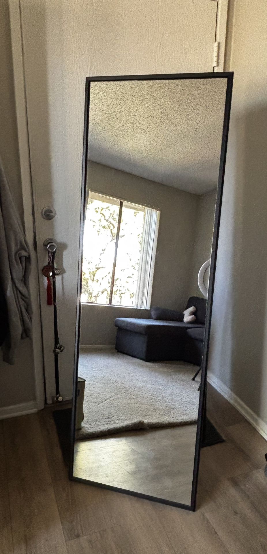 Long Mirror With Stand 