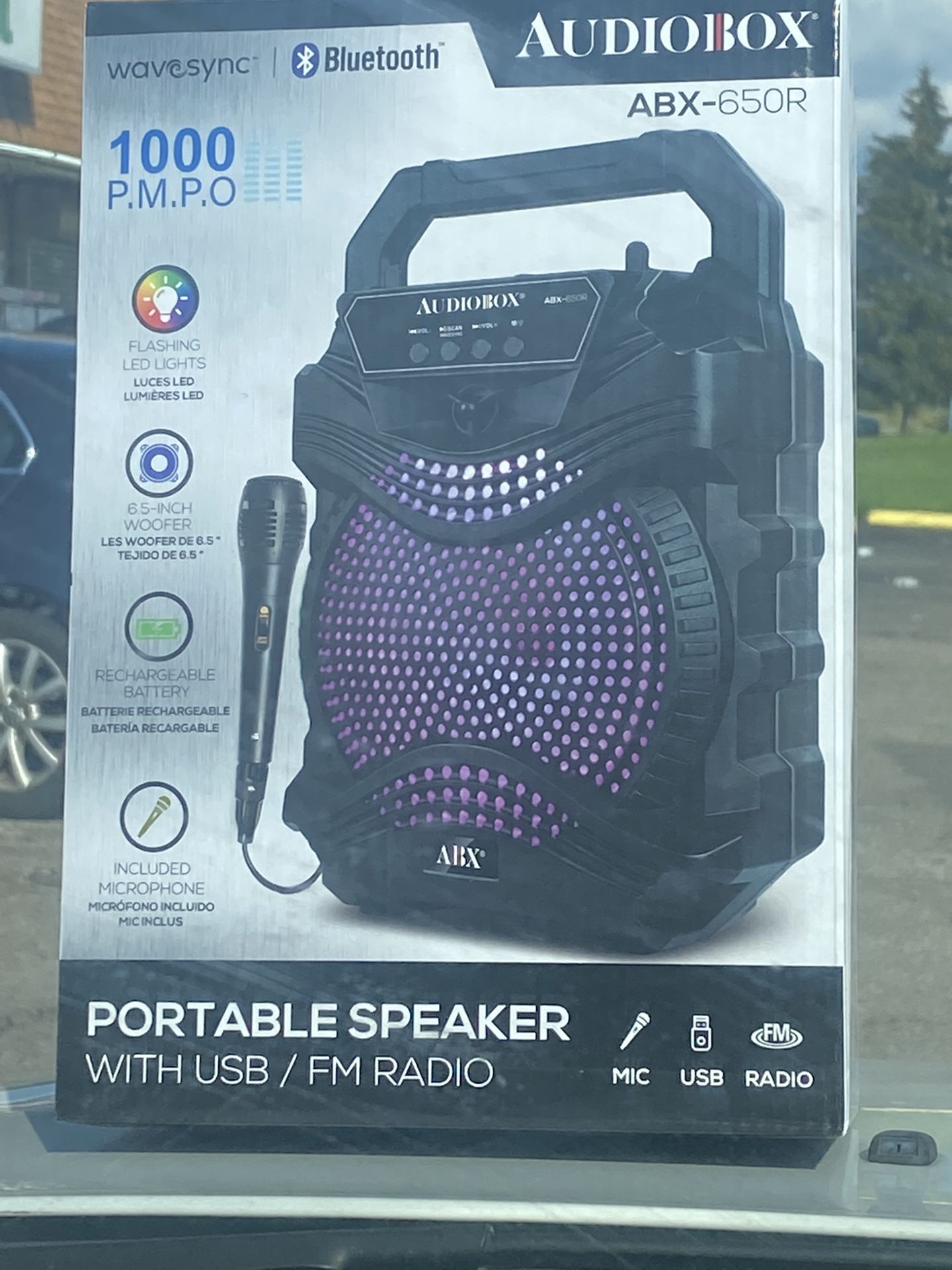 Portable Karaoke
