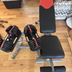Bowflex 552 Dumbbells, Bowflex Stand, And Bowflex Bench
