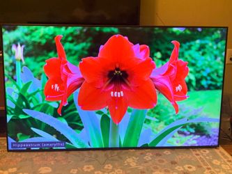 Samsung  TV - 55" Class 7 Series LED 4K UHD Smart Tizen TV