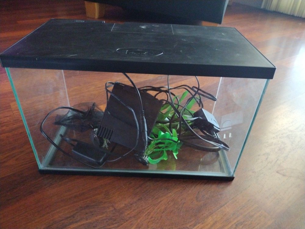 3 Gallon Fish Tank