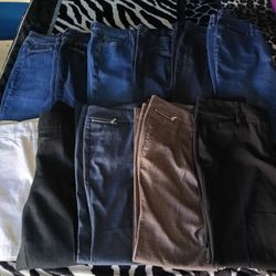 Loft, 7th AVE, Style&Co And Lexington Pants Bundle 