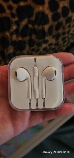 Apple Headphones