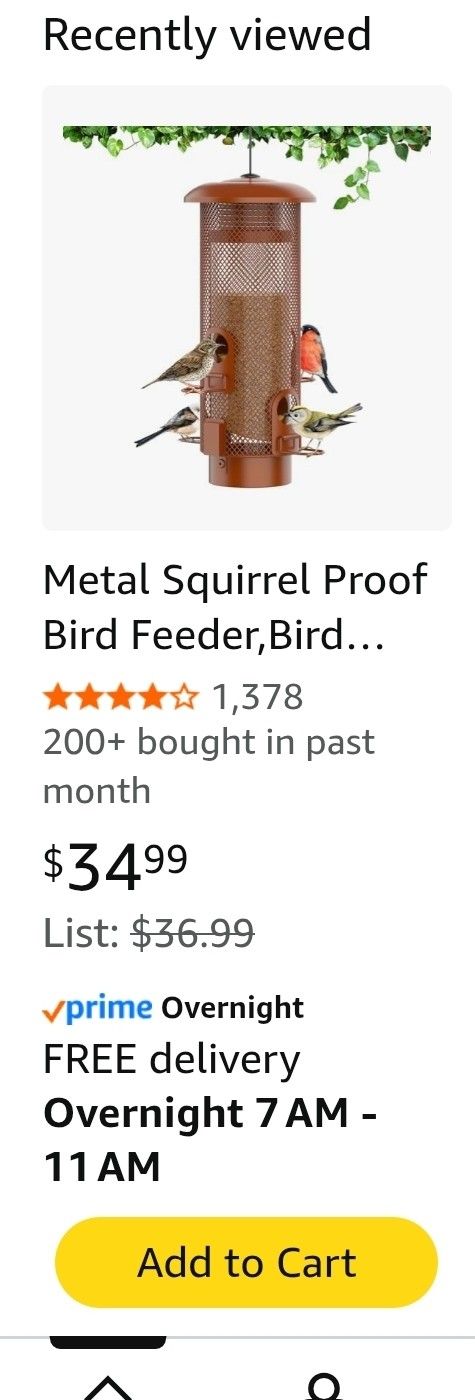 Bird Feeder
