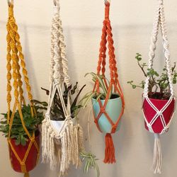 Macrame Plant Hanger