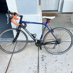 Specialized TriCross Speed Bike