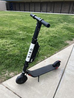 Bird ES4-800 Electric Scooter for Adults -Dual Battery- 800 Watt Motor