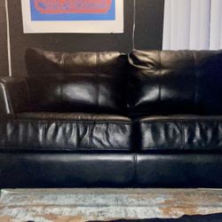 Pullout loveseat couch sofa w/hide a bed 