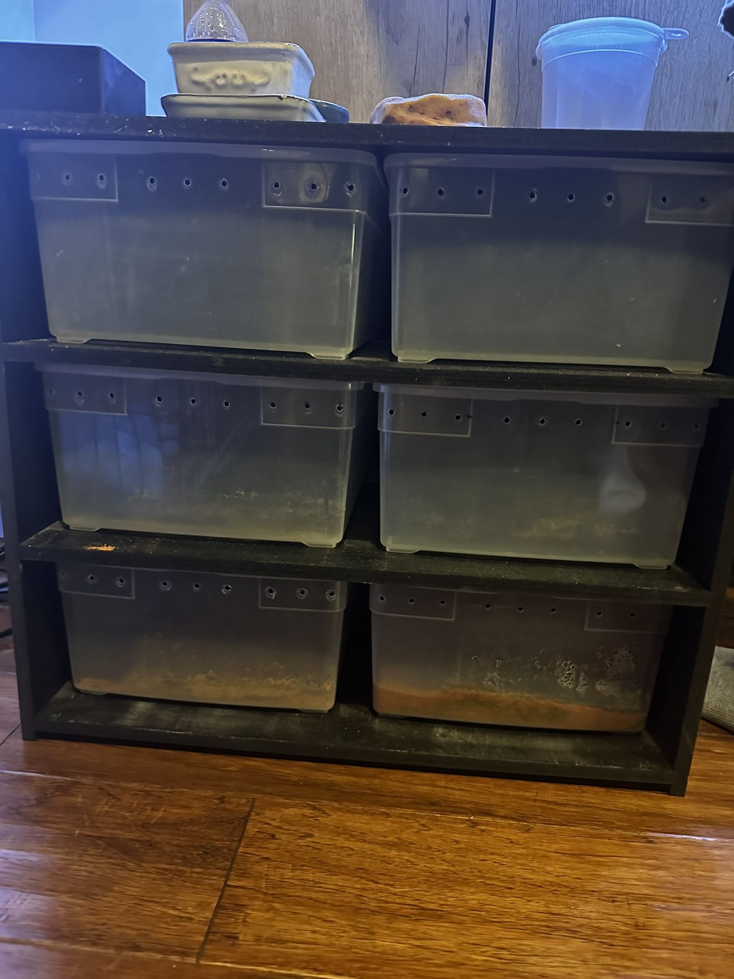 Cserpents Rack