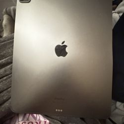 iPad Pro 12.9inch 6th Generation 