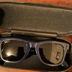 Rayband Wayferer Metas