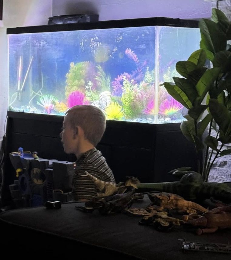 Large Fish Tank With Stand 4ft long , 13inches wide and 21 inches tall