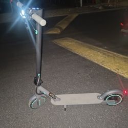 19mph Electric Foldable Scooter