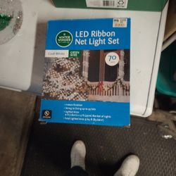 Christmas Lights 