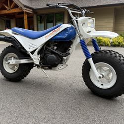 1986 Honda Fat Cat
