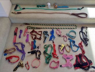 Dog leashes,  harnesses
$3/ea or all for $50