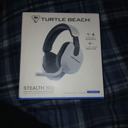 Turtle Beach Gamer Headphones
