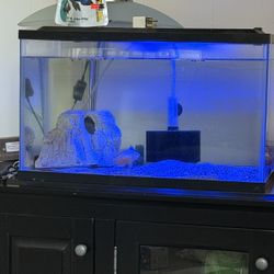 Fish Aquarium And Supplies 