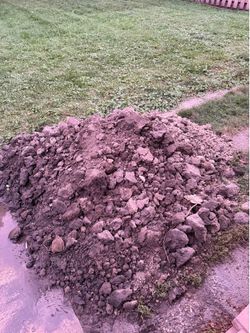 Free soil