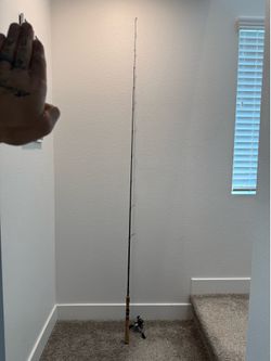 Rod and reel combo