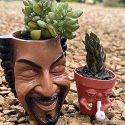 🔥Hot: Snoop Dogg And Smoker Duo Planters -w Succulents 🪴 🪴