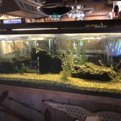 100 Gal. & 5 Gal. Aquarium w/ All Accessories 