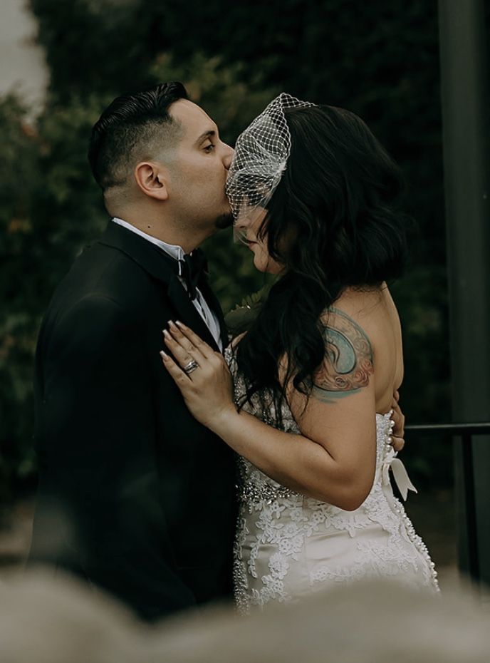 Elegant Birdcage Veil