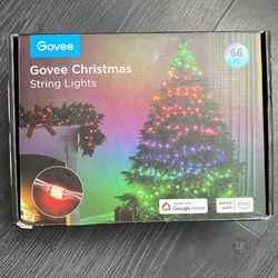 Govee Christmas string lights