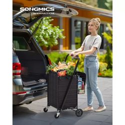 Shopping Cart  New In Box