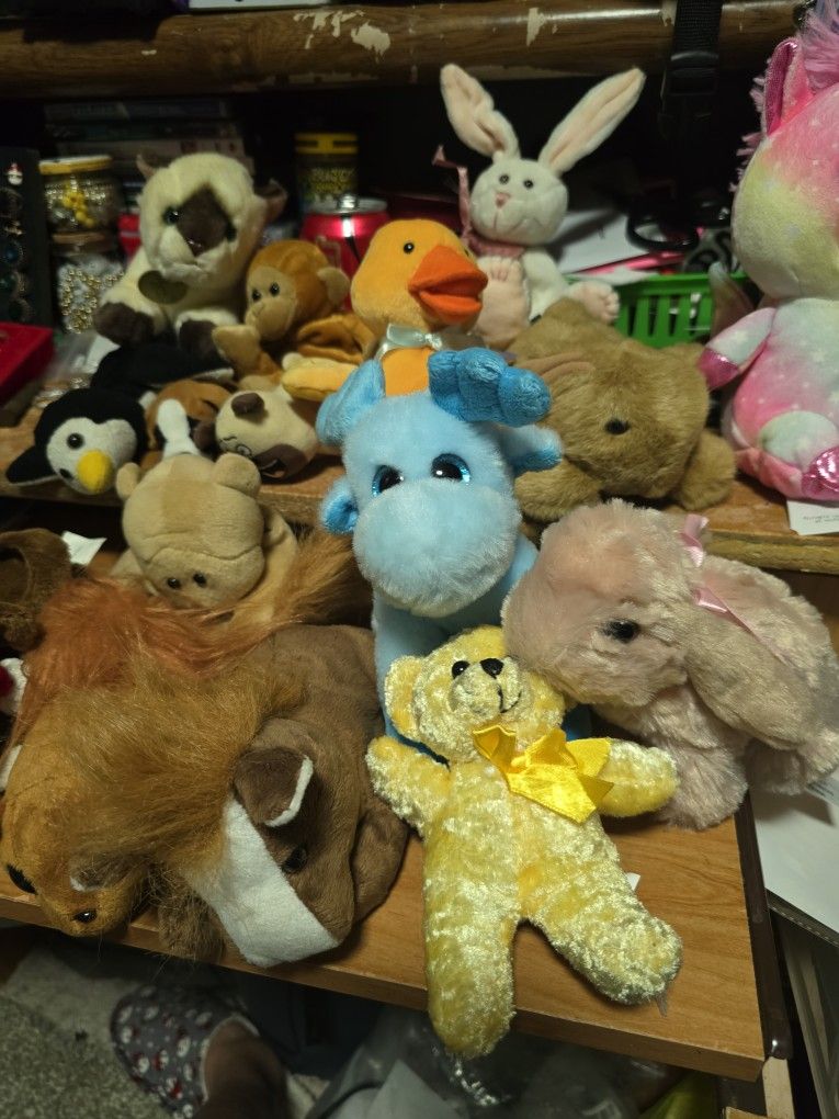 Lot Of Steffed Animals 30 Assorted All For One Price
