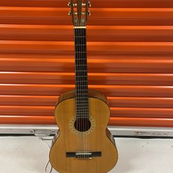Acoustic Guitar 