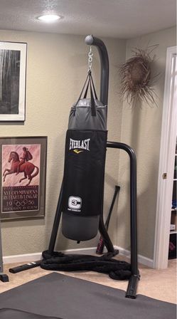Punching bag and stand