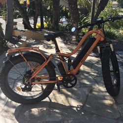 BEE COOL E-BIKE 