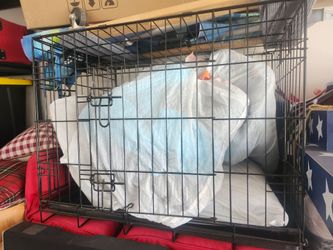 Portable dog cage