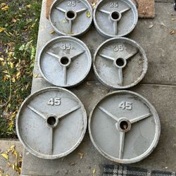 Olympic Weight Plate Set 