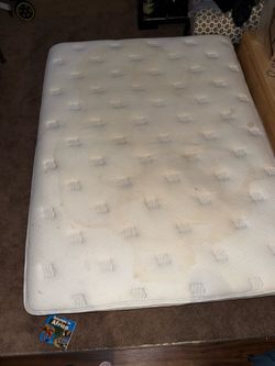 Free Queen mattress