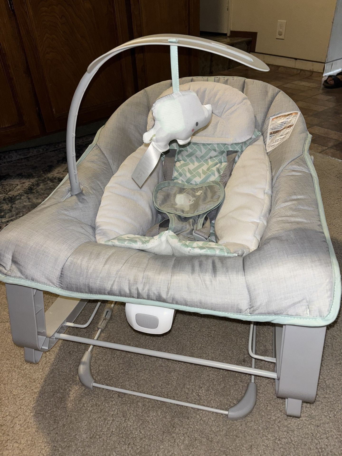Ingenuity Baby Bouncer 3 In 1